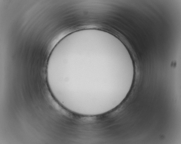 X0000110720810200906121245