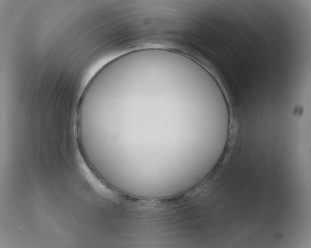X0000110720811200906121245