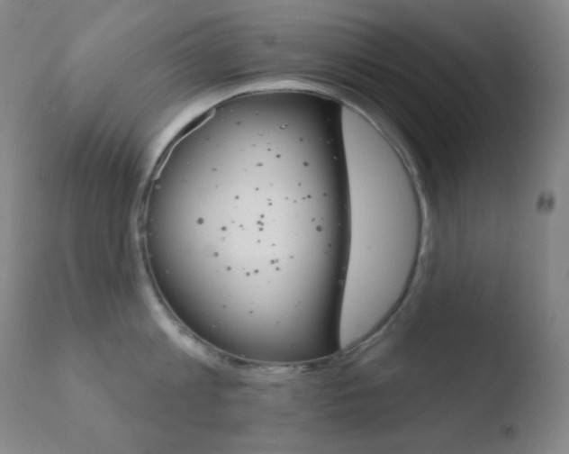 X0000110720813200906121245