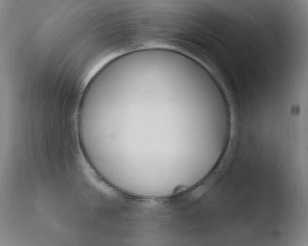 X0000110720814200906121245