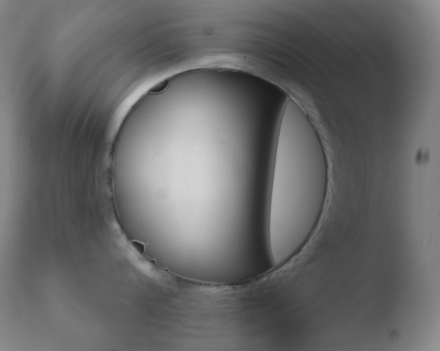 X0000110720816200906121245