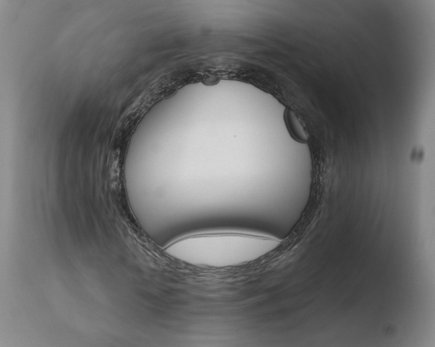 X0000110720818200906121244