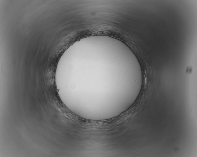 X0000110720819200906121244
