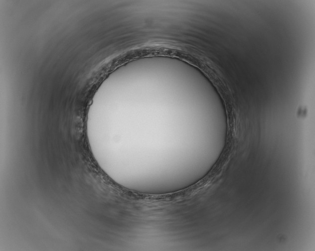 X0000110720821200906121244