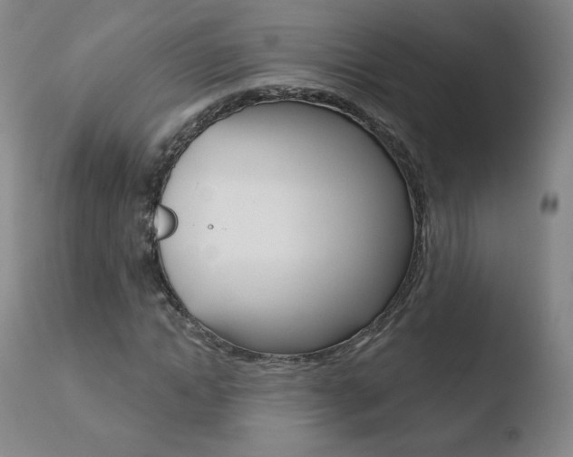 X0000110720822200906121244