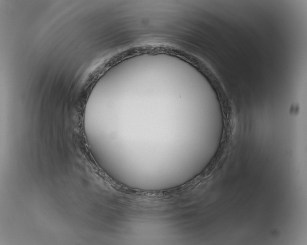X0000110720823200906121244