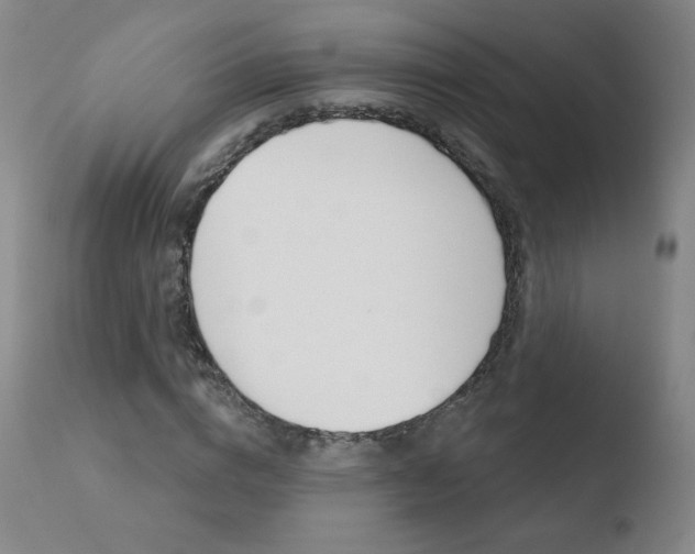 X0000110720824200906121244