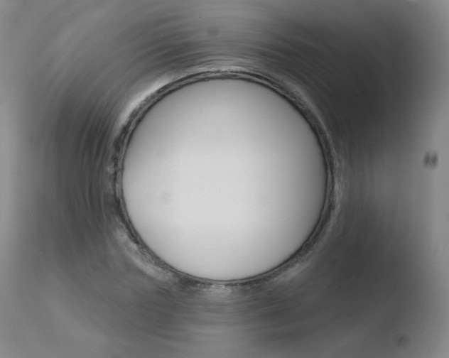 X0000110720827200906121244
