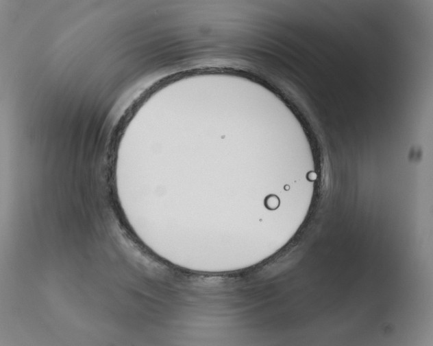 X0000110720828200906121244