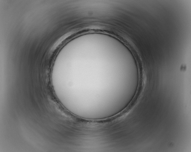 X0000110720829200906121244