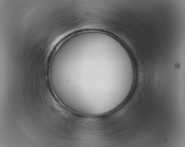 X0000110720830200906121244