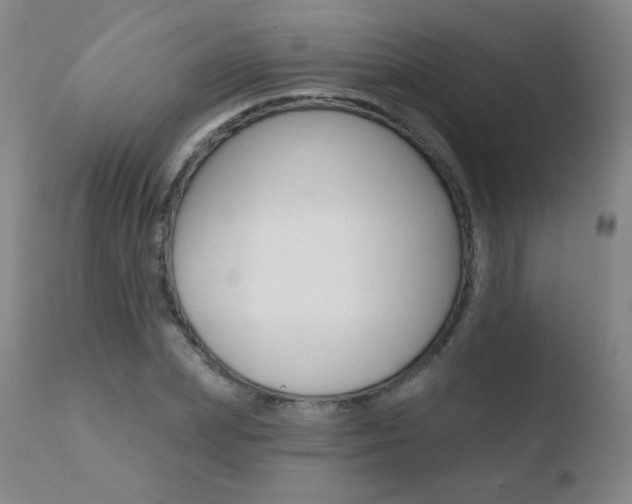 X0000110720831200906121244