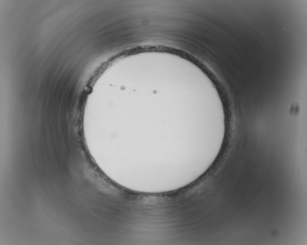 X0000110720832200906121244