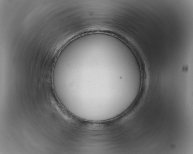 X0000110720833200906121244
