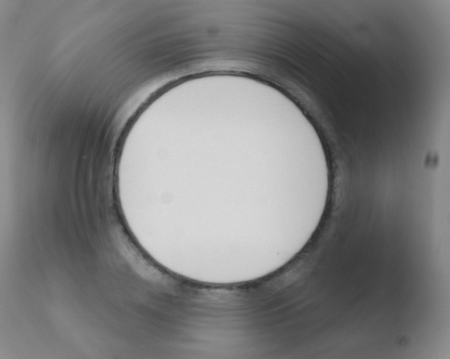 X0000110720836200906121244