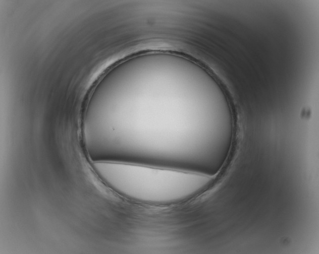 X0000110720837200906121244