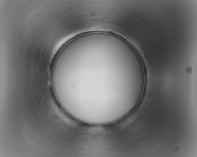 X0000110720838200906121244