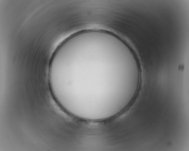 X0000110720839200906121244