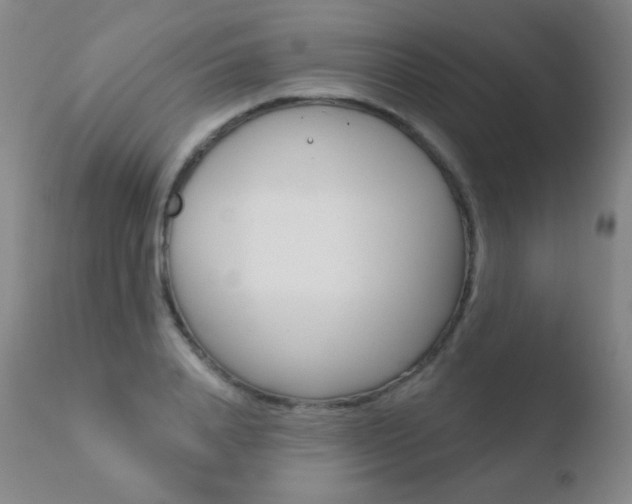 X0000110720840200906121244