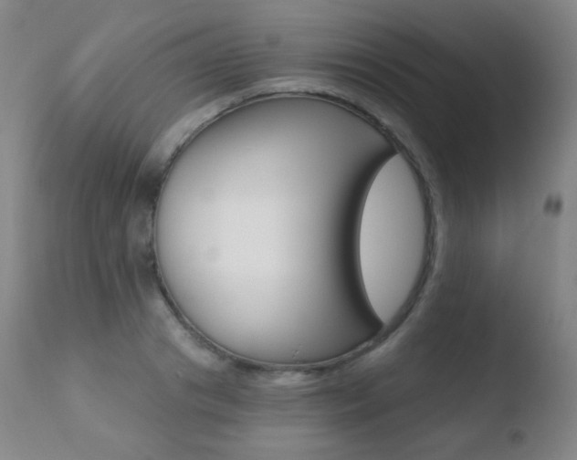 X0000110720841200906121244
