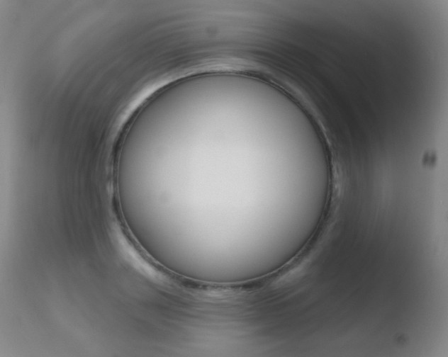 X0000110720843200906121244