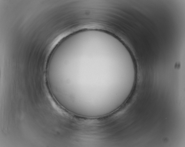X0000110720845200906121244