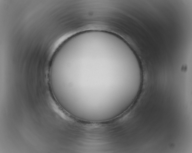 X0000110720846200906121245