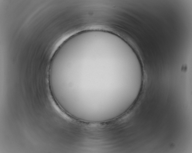 X0000110720847200906121245