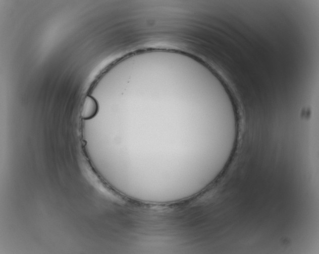 X0000110720848200906121245