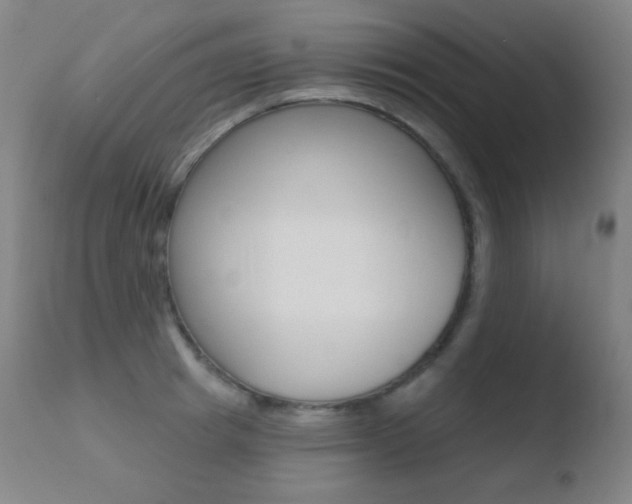 X0000110720849200906121245