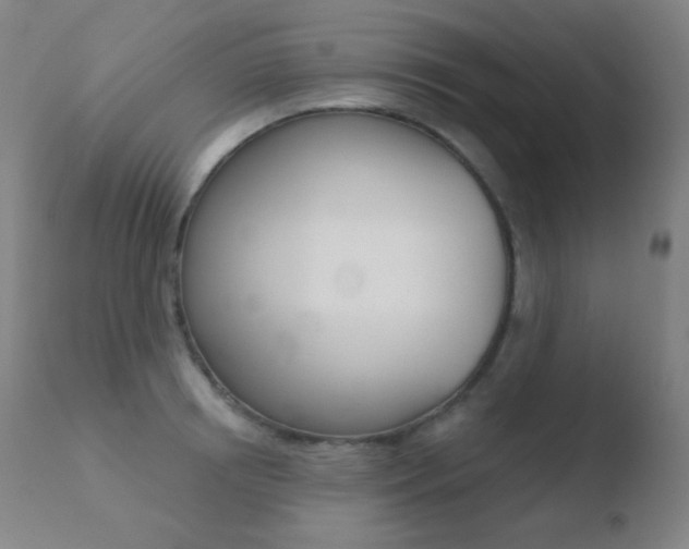 X0000110720850200906121245
