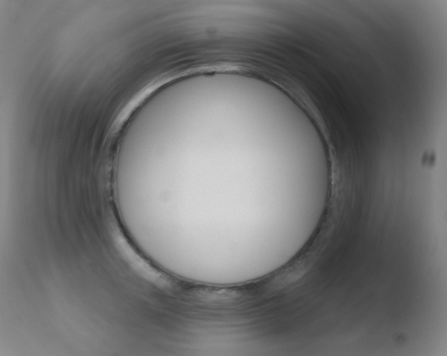 X0000110720851200906121245