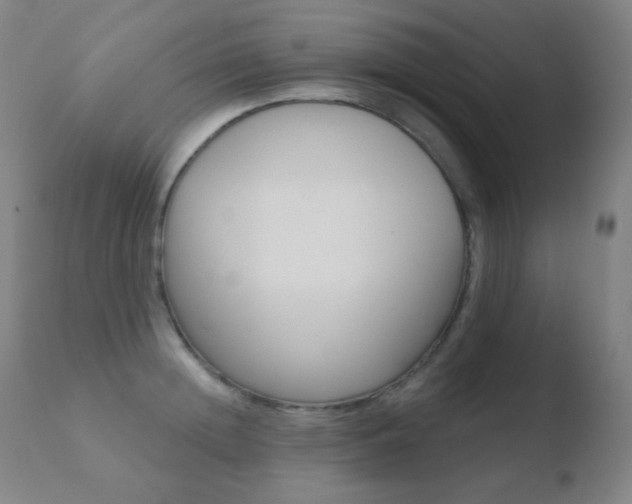X0000110720852200906121245