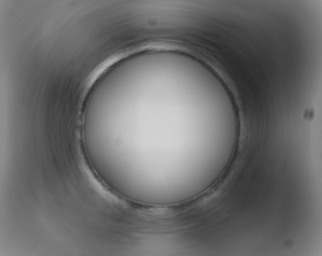 X0000110720853200906121245