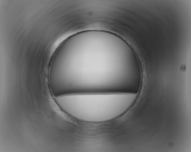 X0000110720854200906121245