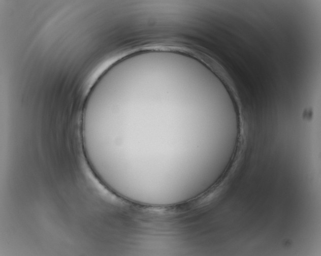 X0000110720855200906121245