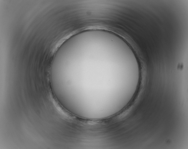 X0000110720857200906121245