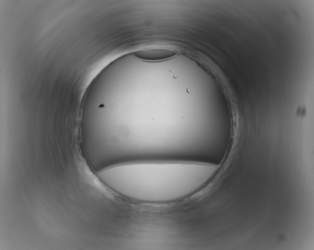 X0000110720860200906121245