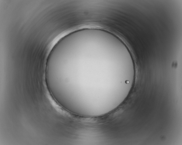 X0000110720861200906121245