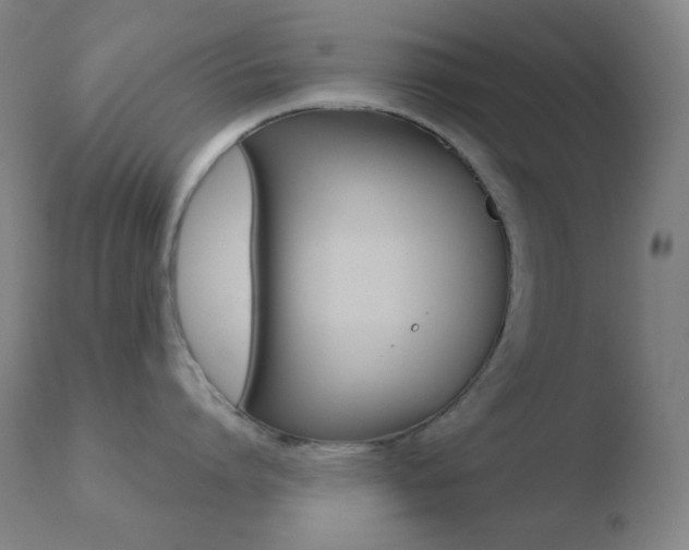 X0000110720864200906121245