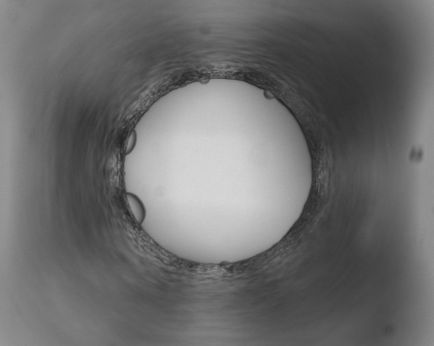X0000110720866200906121244