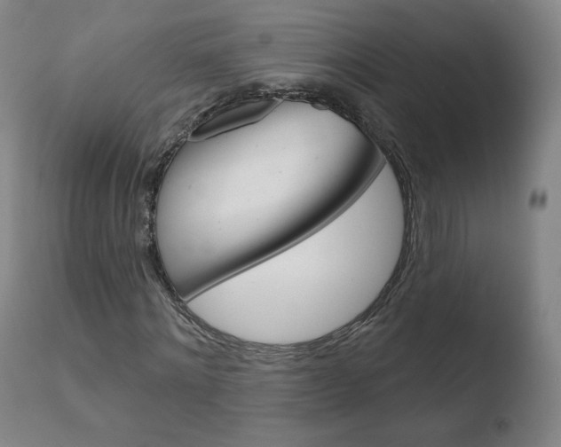 X0000110720868200906121244