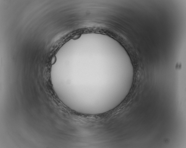 X0000110720869200906121244