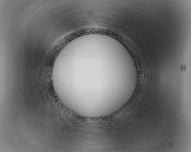 X0000110720870200906121244