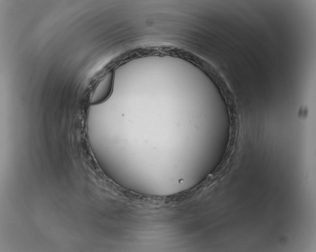 X0000110720871200906121244