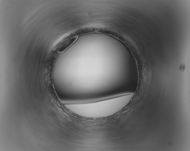 X0000110720872200906121244
