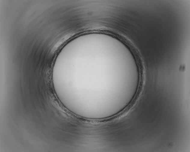 X0000110720873200906121244