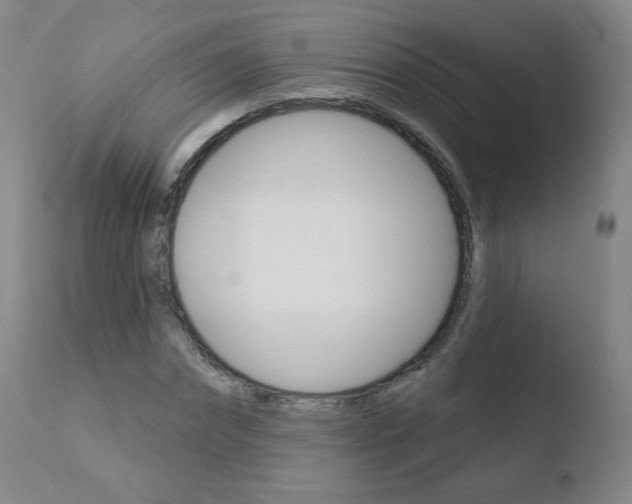 X0000110720874200906121244