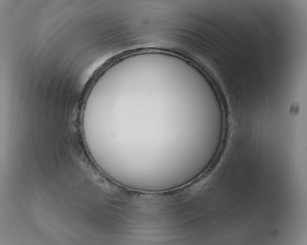 X0000110720875200906121244