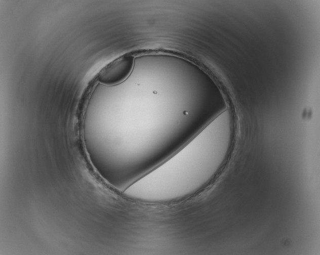 X0000110720876200906121244